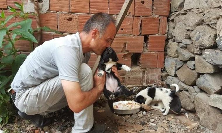 Geçtiğimiz ay köpeği dereye atan işçiye 'Hayvanlara Bakma' görevi verildi