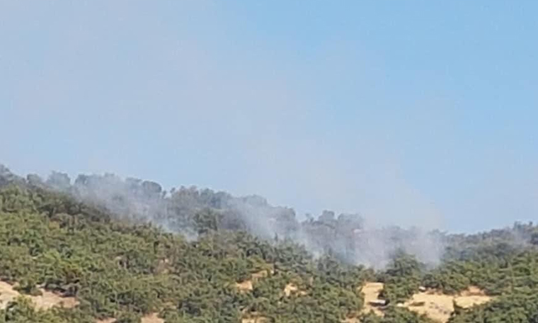 Tunceli’nin Hozat İlçesi’nde orman yangını