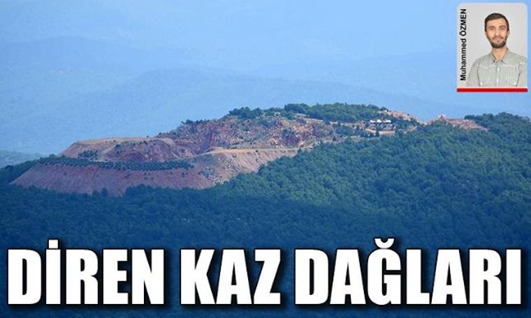 Kaz Dağları'nda yüz binlerce ağacı kesen altın madenine karşı mücadele sürüyor