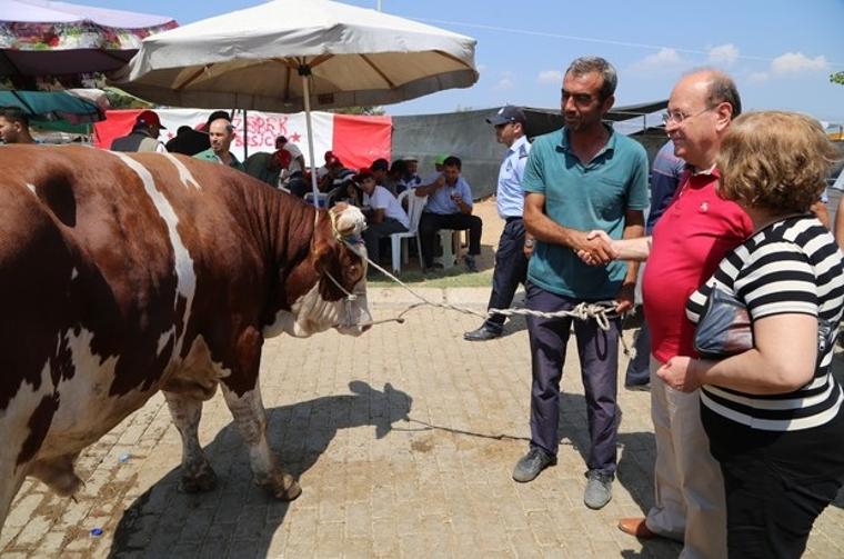 Efeler'de kurban kesim yerleri belirlendi