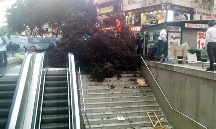 Ankara'da ağaç devrildi: 3 yaralı