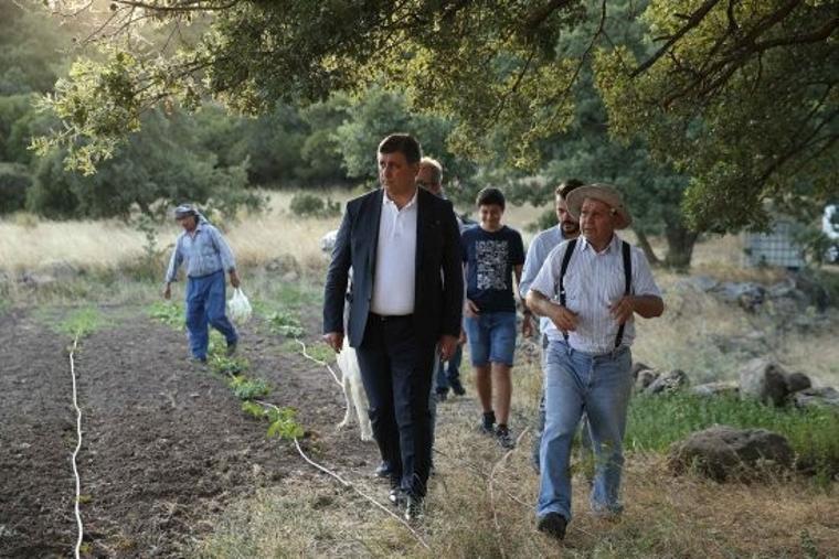 Karşıyaka Belediyesi 'Yamanlar domatesi' için çalışma başlattı