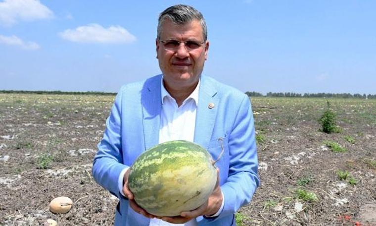 Karpuz tarlada kaldı (08.07.2019)