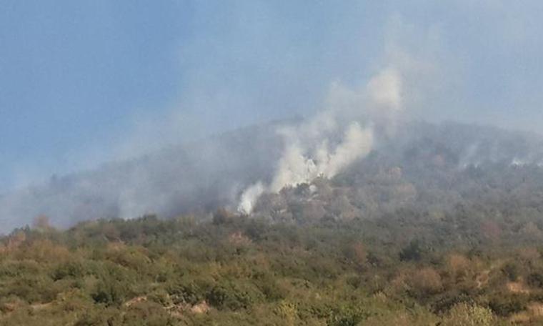 İzmir'deki orman yangını ikinci kez kontrol altına alındı