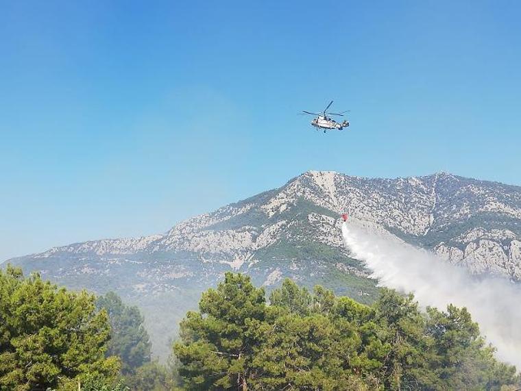 Antalya'da orman yangını (11.08.2019)