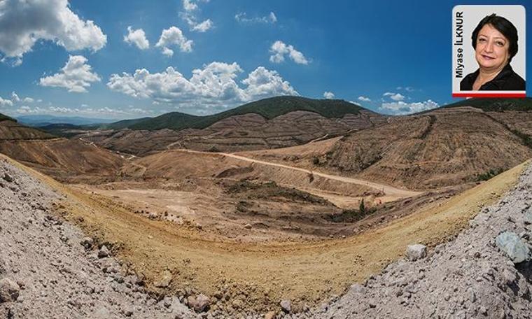 Kaz Dağları gerçeği: Bu vatana nasıl kıydınız?