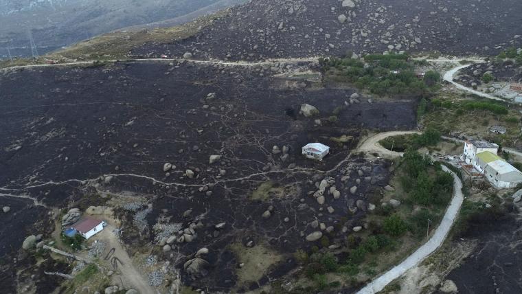 Marmara Adası'ndaki orman yangınında 80 hektar kül oldu