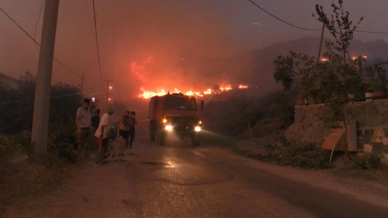 Marmara Adası'ndaki orman yangınında 80 hektar kül oldu