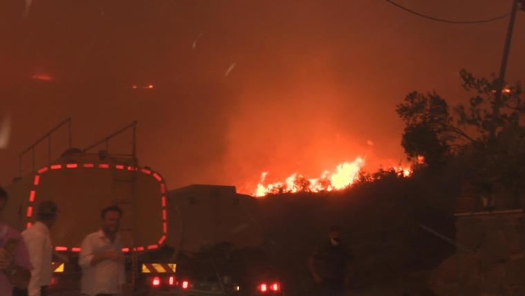 Marmara Adası'ndaki orman yangınında 80 hektar kül oldu