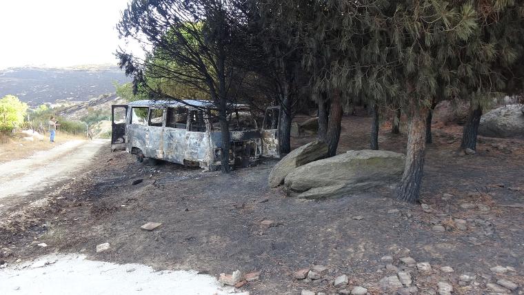 Marmara Adası'ndaki orman yangınında 80 hektar kül oldu