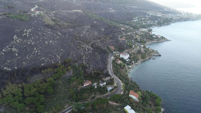 Marmara Adası'ndaki orman yangınında 80 hektar kül oldu