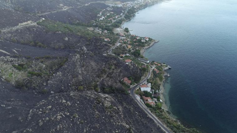 Marmara Adası'ndaki orman yangınında 80 hektar kül oldu