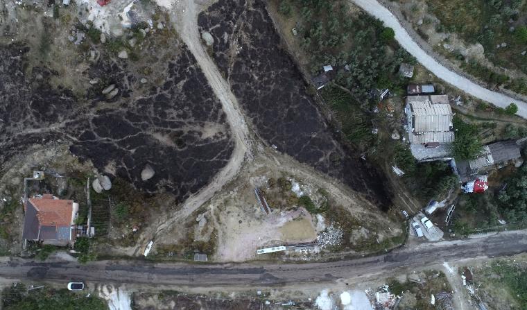 Marmara Adası'ndaki orman yangınında 80 hektar kül oldu