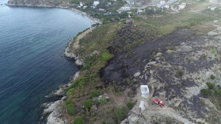 Marmara Adası'ndaki orman yangınında 80 hektar kül oldu