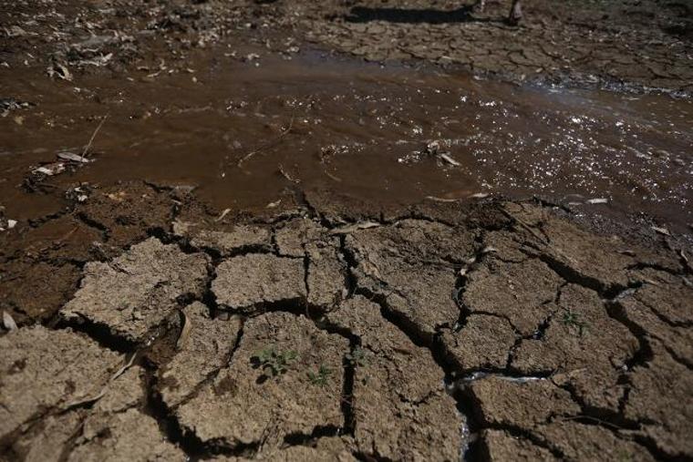 Bodrum Belediyesi, kaplumbağalar için kuruyan göle su takviyesi yaptı