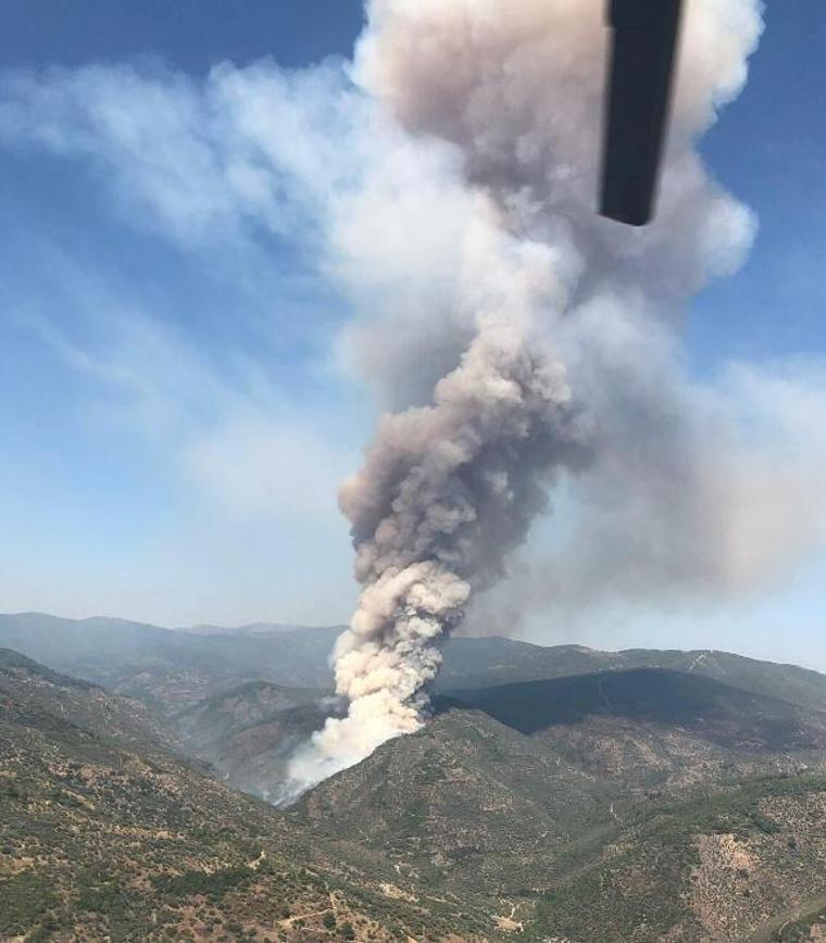 Bayındır'da bahçelerin bulunduğu bölgede yangın