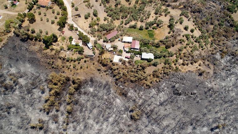 Muğla'da yanan ormanlık alan havadan görüntülendi