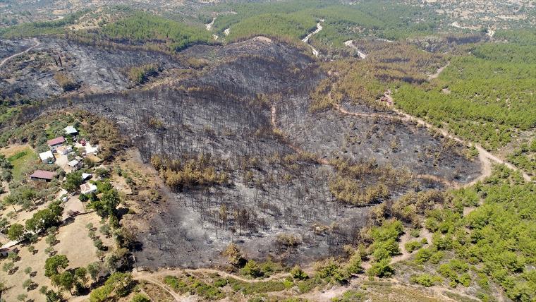 Muğla'da yanan ormanlık alan havadan görüntülendi