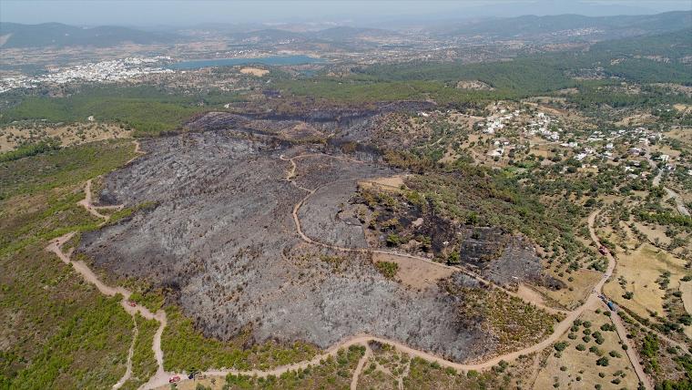 Muğla'da yanan ormanlık alan havadan görüntülendi