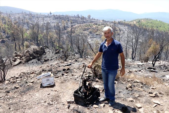 Muğla'da yanan ormanlık alan havadan görüntülendi