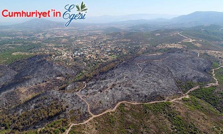 Bodrum'da yanan orman havadan görüntülendi