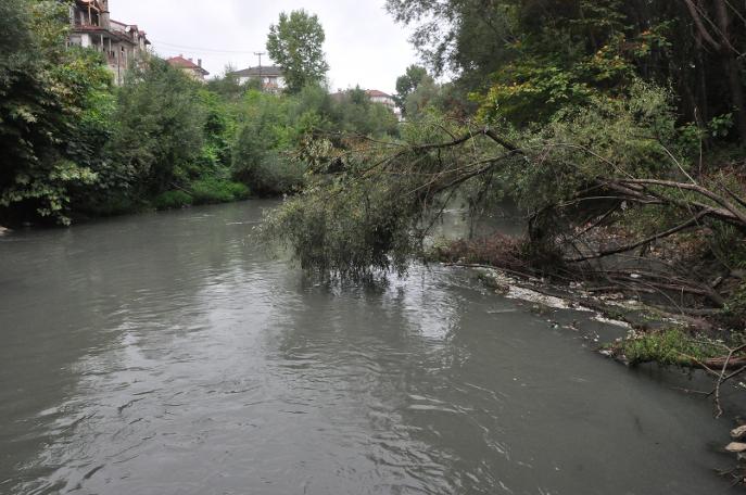 Irmak siyaha döndü, toplu balık ölümleri başladı