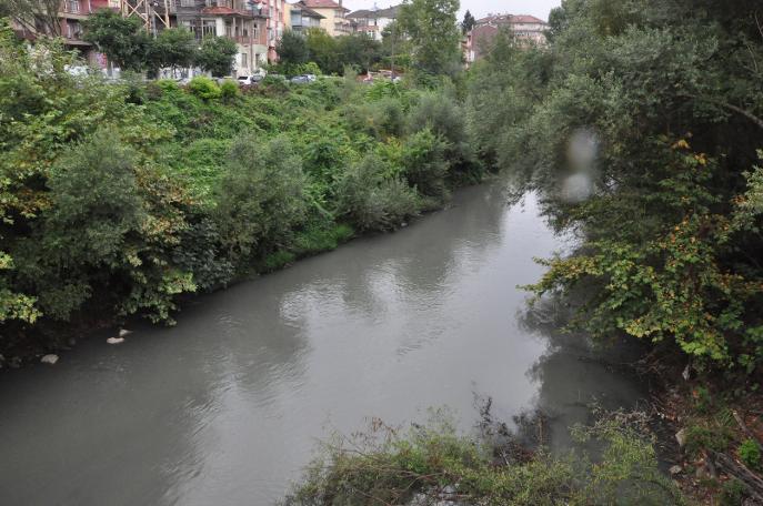 Irmak siyaha döndü, toplu balık ölümleri başladı