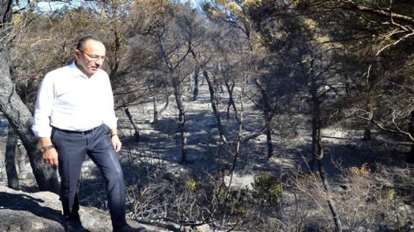 Başkan Oğuz felaketin yaşandığı bölgede: Yeniden ağaçlandıracağız