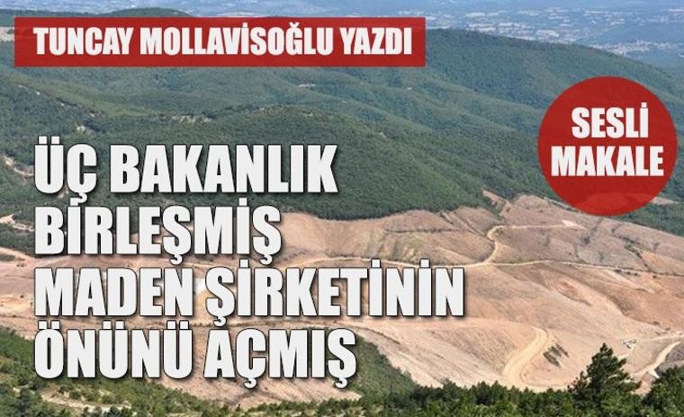 Nalıncı keseri: Üç bakanlık birleşmiş, maden şirketinin önünü açmış (02.08.2019) (02.08.2019)