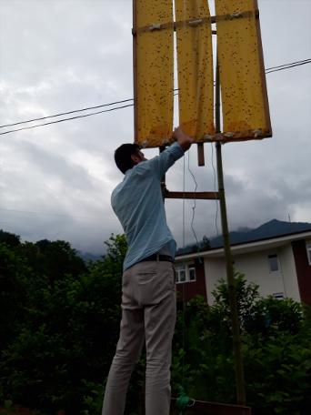 Artvin'de "Vampir kelebek" alarmı!