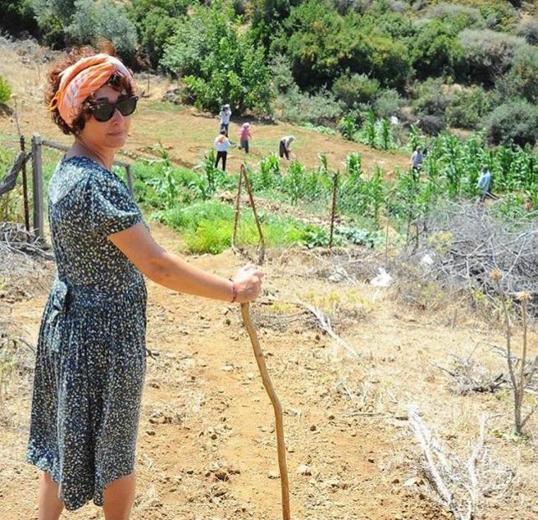 Bakan Pakdemirli'ye çağrı: Ormanları köylüye bırakın