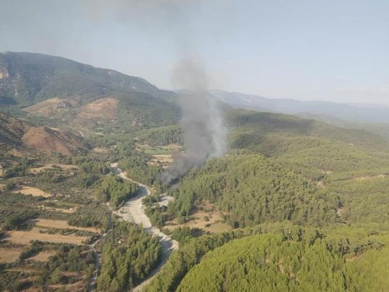 Muğla'da orman yangınları (22.08.2019)