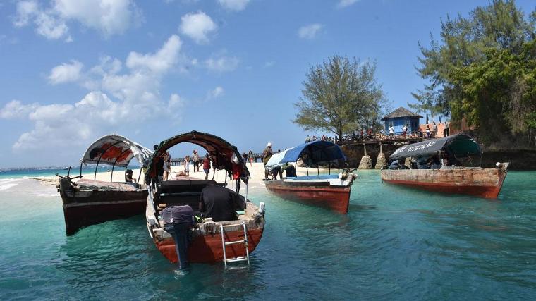 Zanzibar'ın dev kaplumbağalarına turistlerden yoğun ilgi