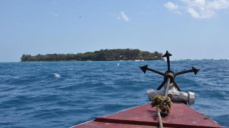 Zanzibar'ın dev kaplumbağalarına turistlerden yoğun ilgi