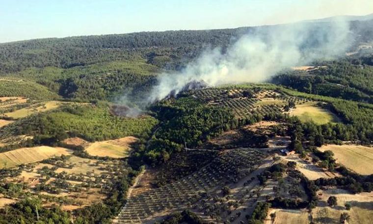 Bergama'da orman yangını çıktı