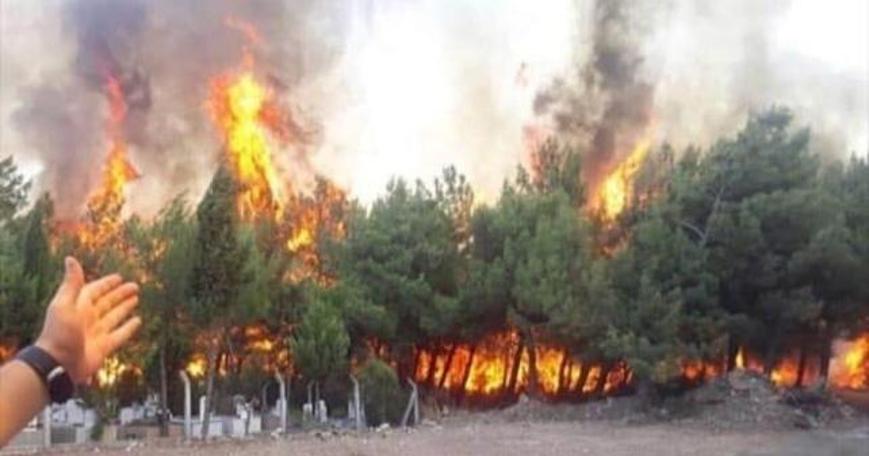 İzmir kan ağlıyor! Karşıyaka kadar bir alan yandı