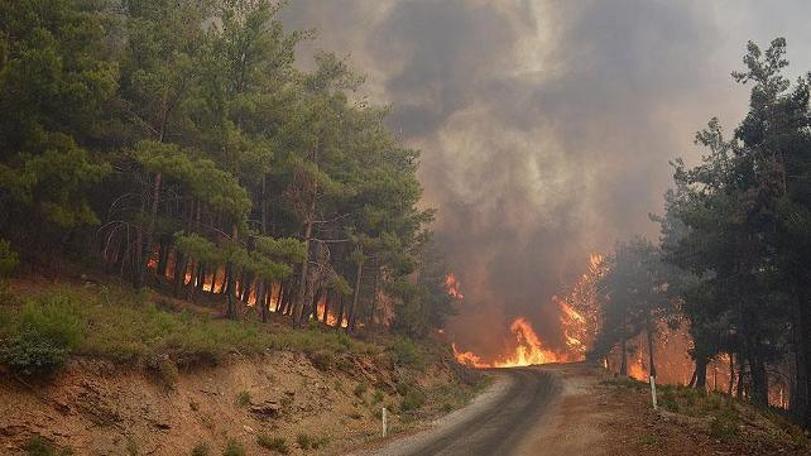 CHP İzmir milletvekilleri, büyük yangın için meclis araştırması istedi