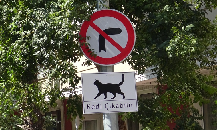 Avcılar'da sürücüler için ‘Kedi Çıkabilir’ tabelaları astılar