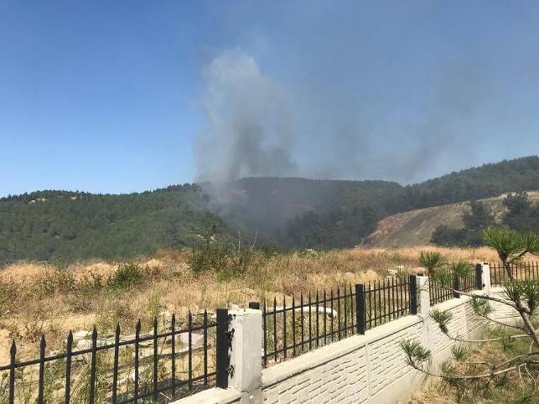 Çanakkale'de orman yangını (29.08.2019)