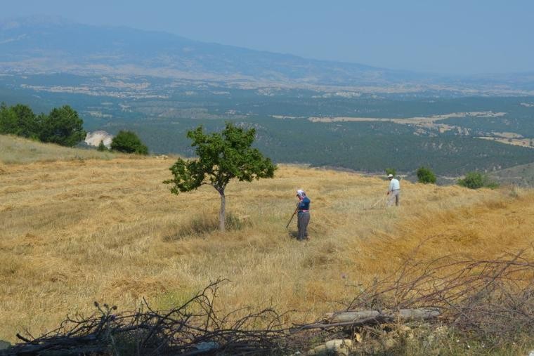 En yukarıya göz dikmişler