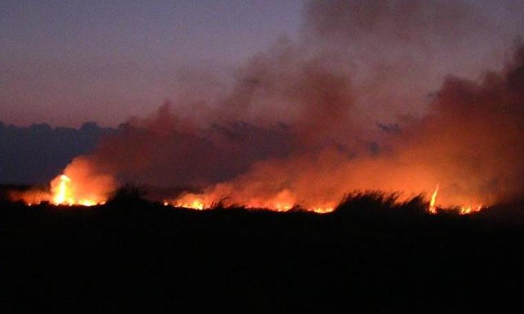 Hatay’da sazlık alanda yangın