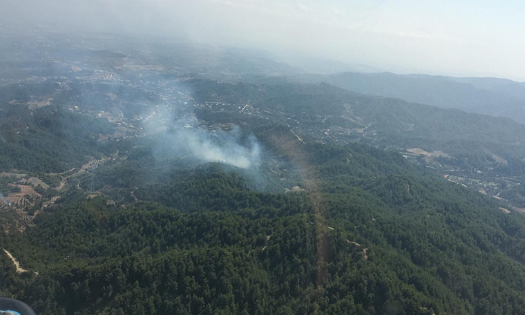 Hatay'da orman yangını (31.08.2019)