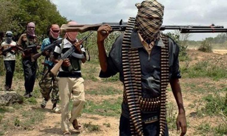 Boko Haram Kamerun'da 20 kişiyi kaçırdı