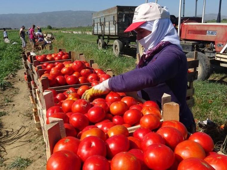 TÜİK açıkladı: İşte İzmir'in zam şampiyonu