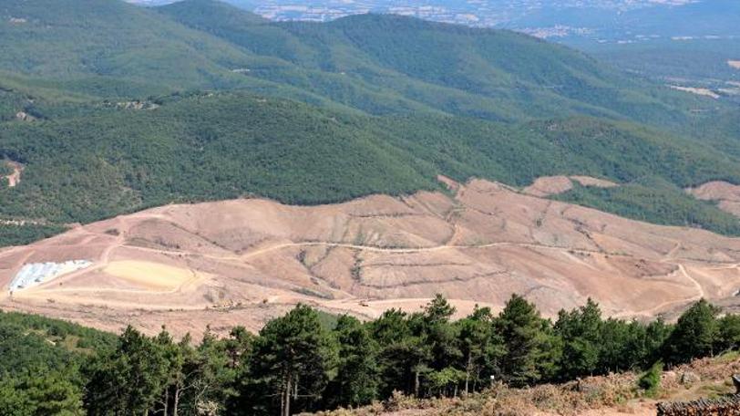 Çanakkale’deki orman katliamı ile ilgili yeni iddia: 