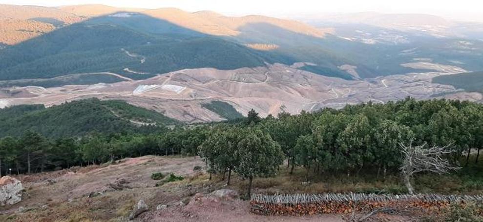 Kaz Dağları’nda altın uğruna çevre katliamı yapan şirketten skandal yorum: Protestolar siyasi amaçlı