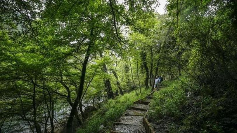 Gökbayrak: ‘Doğayla uyumlu yaşamak zorundayız’