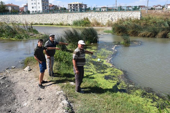 Kırklareli'de balık ölümlerine inceleme