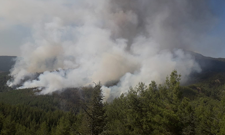 Kaş'ta orman yangını (02.09.2019)