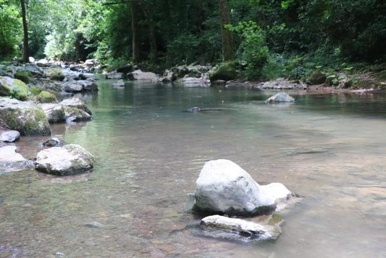 İznik Gölü'ne akan derede kirlilik